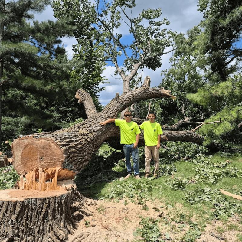 Tree removal work on an Oklahoma property